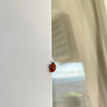 아파트 Cozy Attic - Free Parking 사라예보