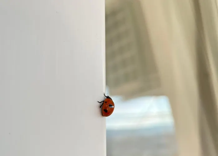 شقة Cozy Attic - Free Parking سراييفو